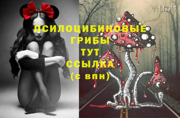 jwh Аркадак
